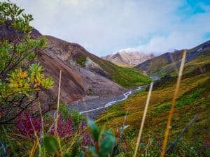 Denali National Park Alaska met groene bergvallei en slingerende rivier
