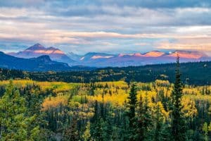 Denali National Park Alaska met herfstbos en verre bergen
