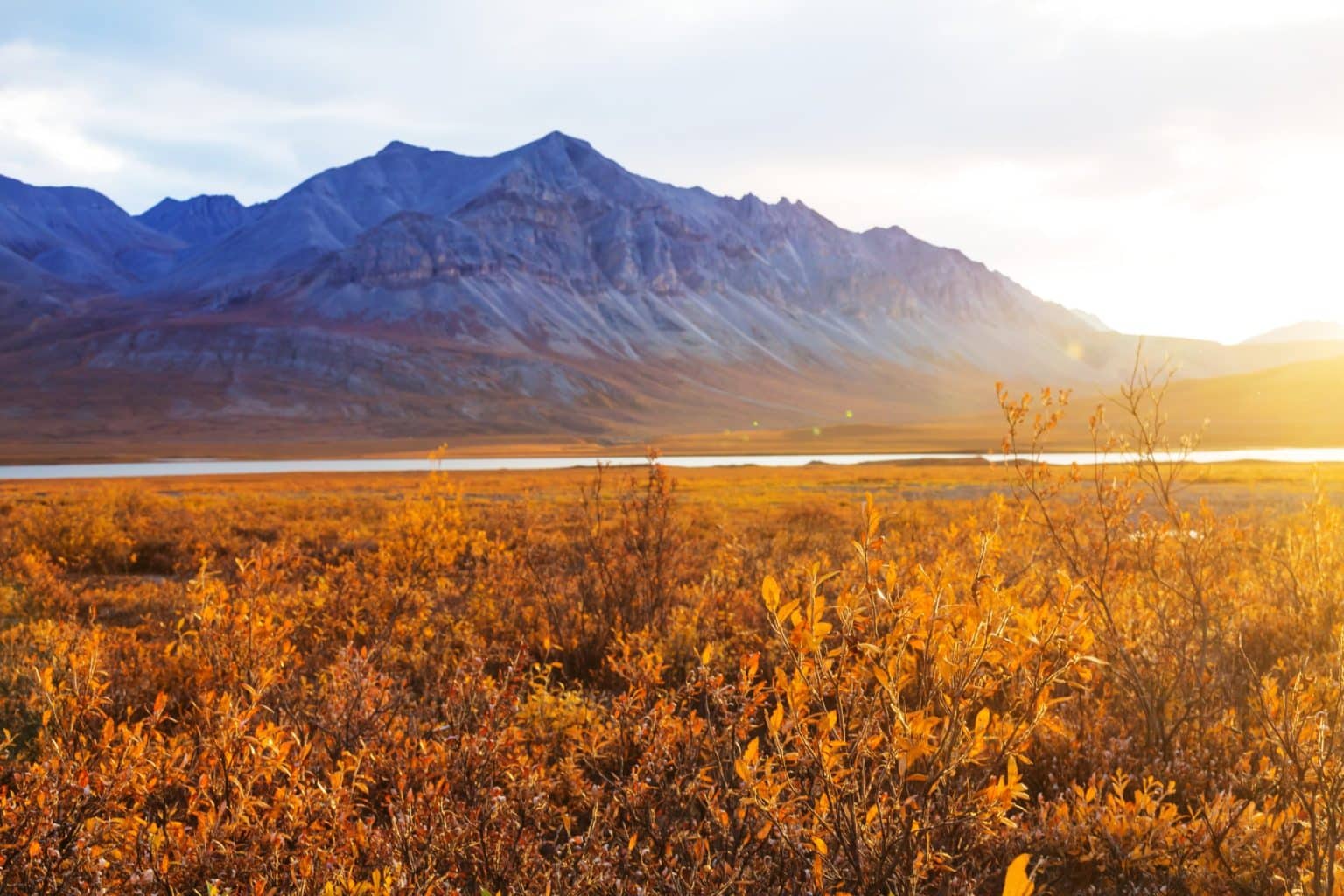 Denali National Park Alaska met herfsttoendra, bergen en laag zonlicht