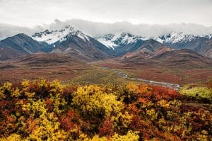 Denali National Park Alaska met herfsttoendra en besneeuwde bergen