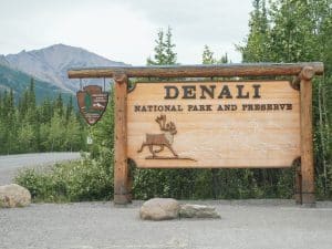 Denali National Park Alaska met houten ingangsbord langs de weg