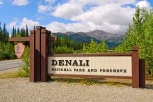 Denali National Park Alaska met modern entreebord langs de weg