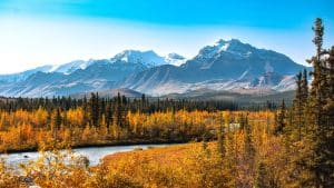 Denali National Park Alaska met rivier, herfstbos en bergketen