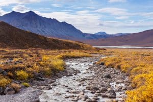 Denali National Park Alaska met rotssige beek in open toendradal