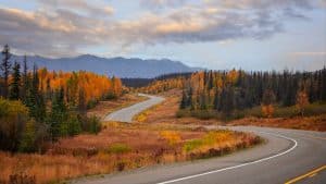Denali National Park Alaska met slingerende weg en herfstkleuren