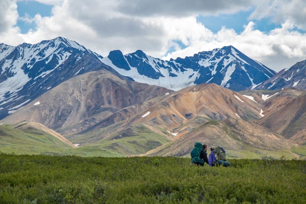 Denali National Park Alaska met wandelaars in open bergvallei