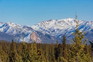 Fairbanks Alaska bergen en bos