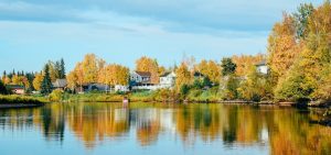 Fairbanks Alaska herfstbomen aan rivier