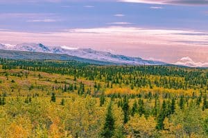 Fairbanks Alaska herfstlandschap met bergen