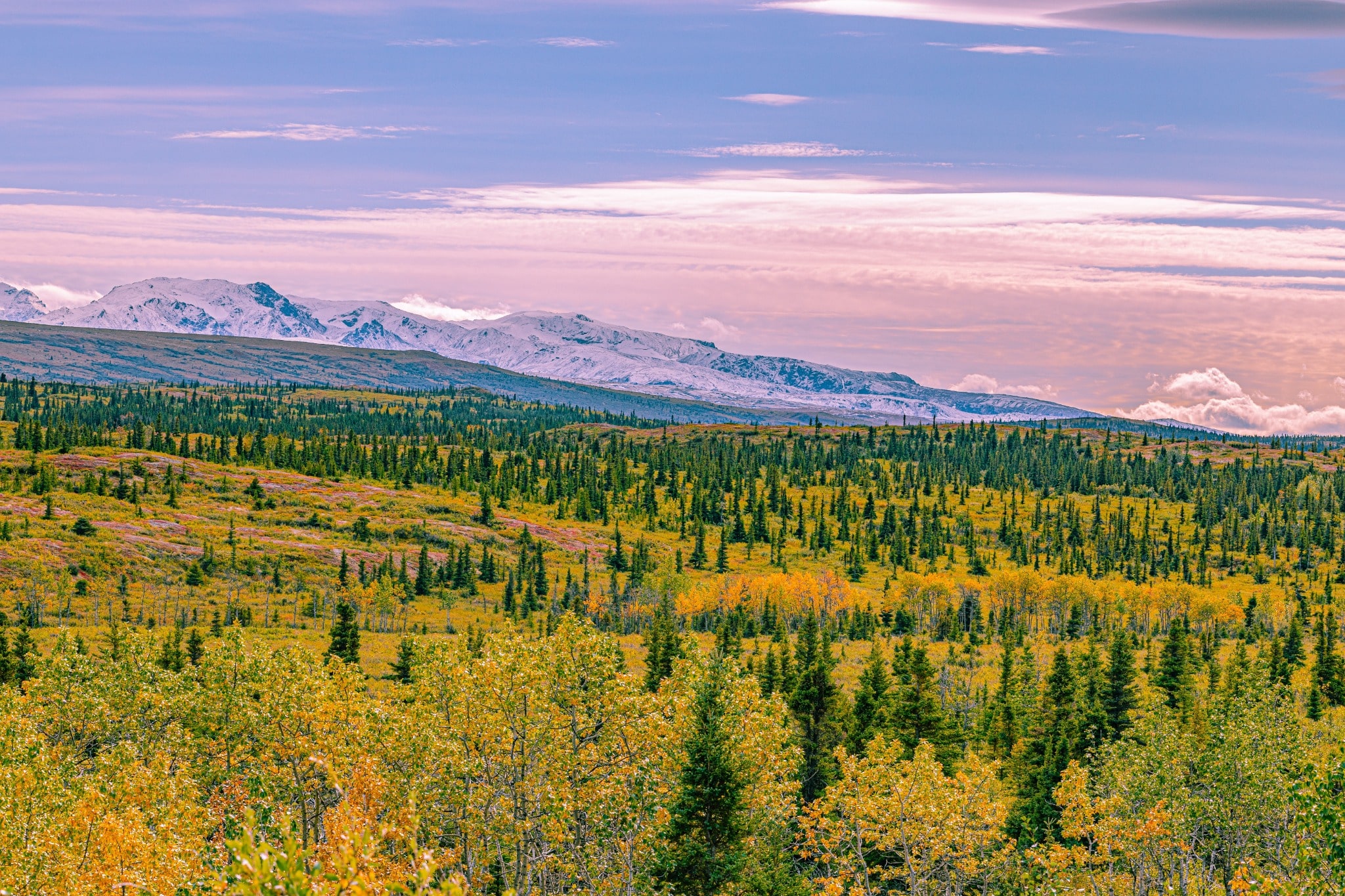 Fairbanks Alaska herfstlandschap met bergen