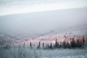 Fairbanks Alaska mistig sneeuwlandschap