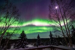Fairbanks Alaska noorderlicht boven bomen