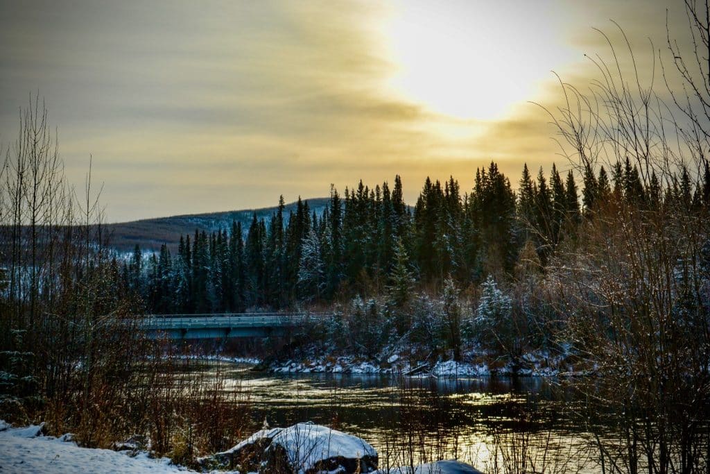 Fairbanks Alaska rivier met bos