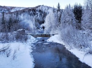Fairbanks Alaska sneeuwlandschap met rivier