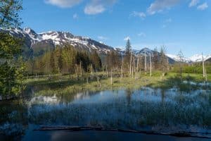 Meer en bergen Girdwood Alaska