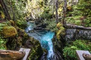 Rivier en wandelaars in kloof Girdwood Alaska