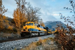 Trein door bergen Girdwood Alaska