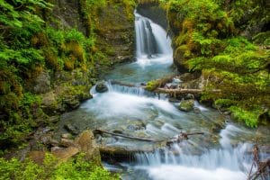 Waterval in bos Girdwood Alaska