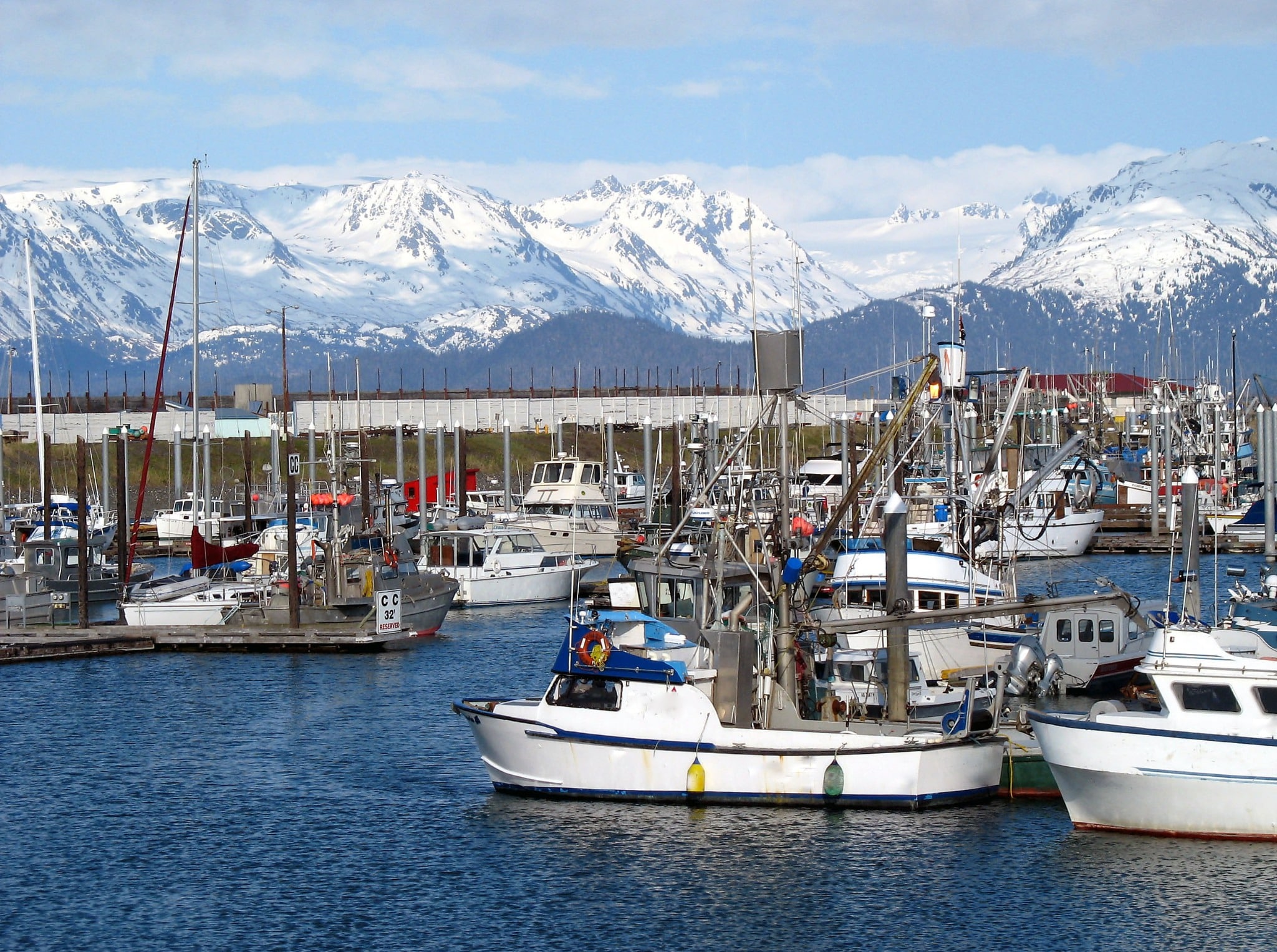 Vissersboten in haven Homer Alaska