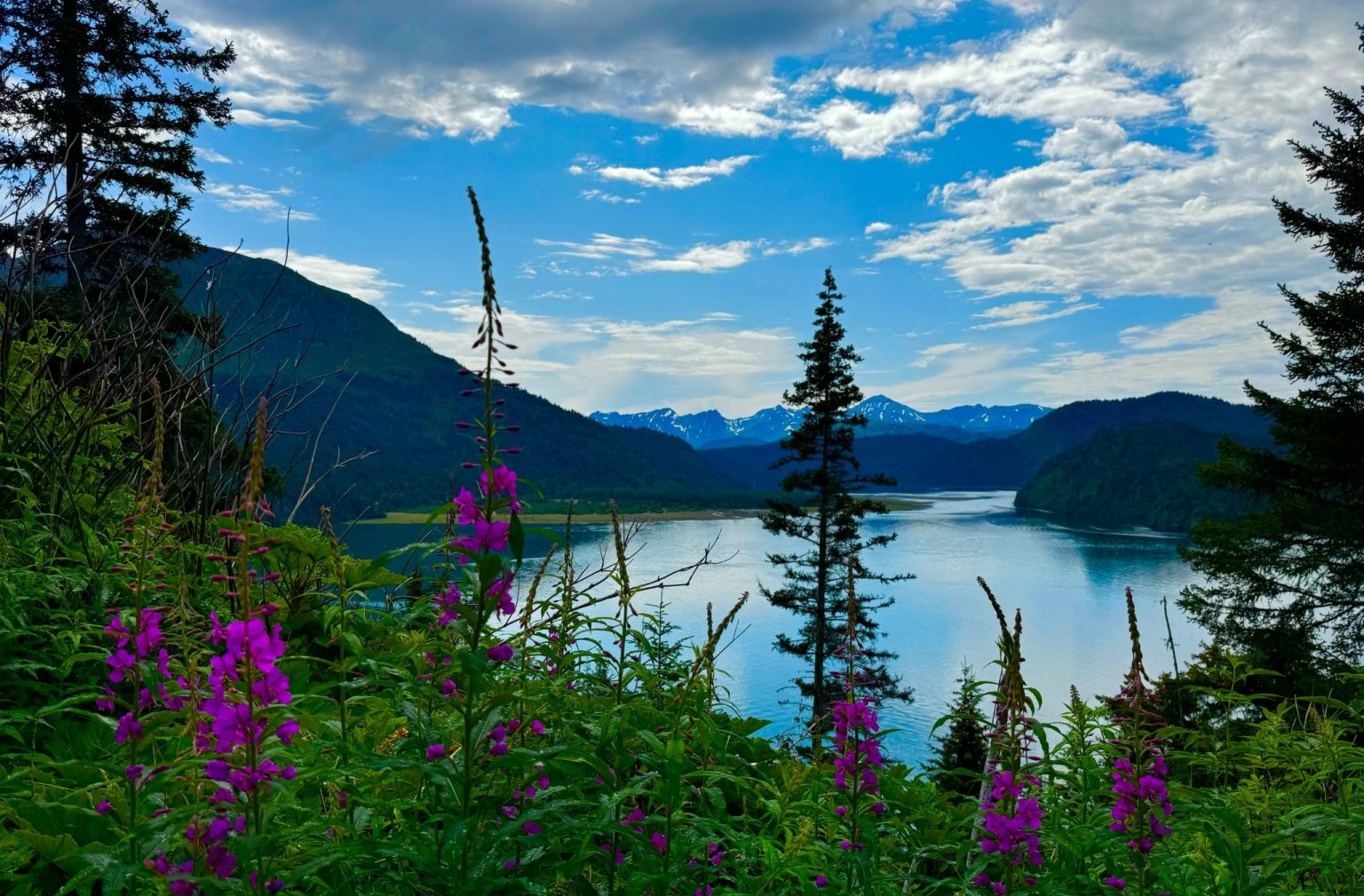 Meer en bergen Homer Alaska