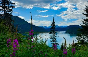 Meer en bergen Homer Alaska