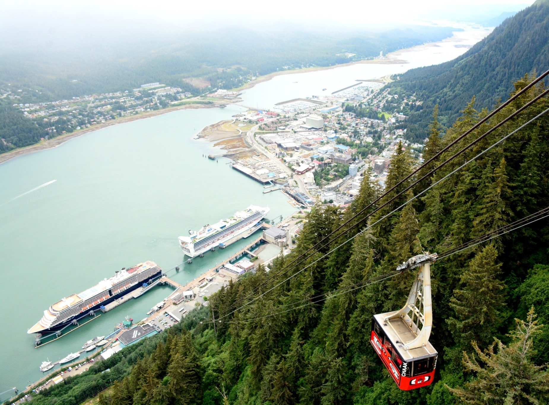 Mount Roberts Tram bij Juneau Alaska boven bos