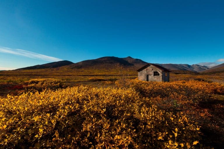 Herfsttoendra met hut in Nome Alaska