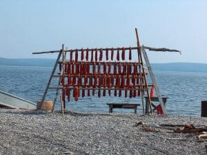 Droogrek met vis aan kust Nome Alaska