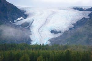Seward Alaska Exit Glacier boven bos