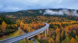 Seward Alaska weg door herfstbos met brug