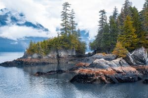 Seward Alaska rotsachtige kust met bomen en water