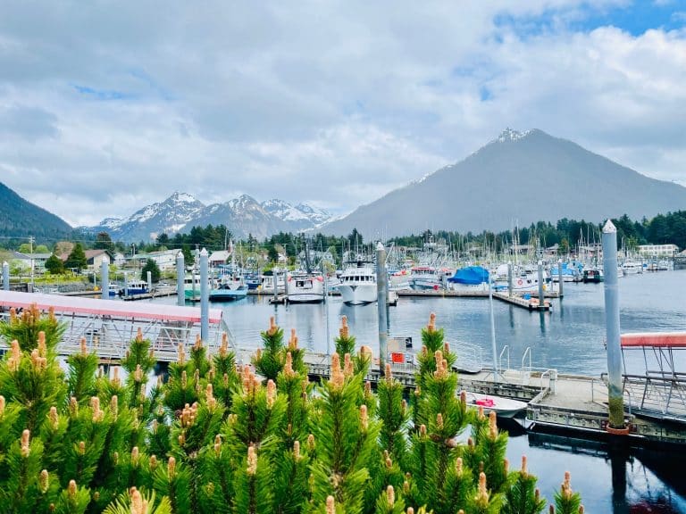 Jachthaven met boten en bergen in Sitka