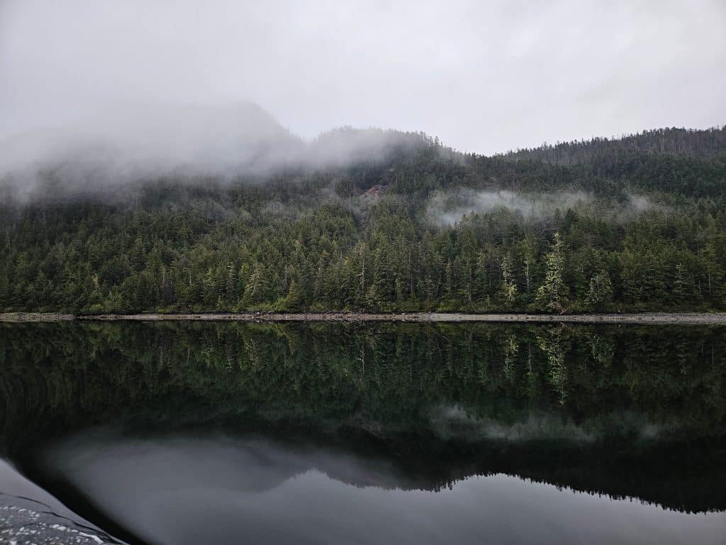 Mist boven bos en spiegelend water in Sitka