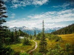 Wandelpad door natuur bij Skagway Alaska