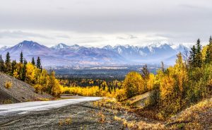 Tok Alaska herfstlandschap met weg en bergen