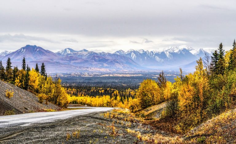 Tok Alaska herfstlandschap met weg en bergen