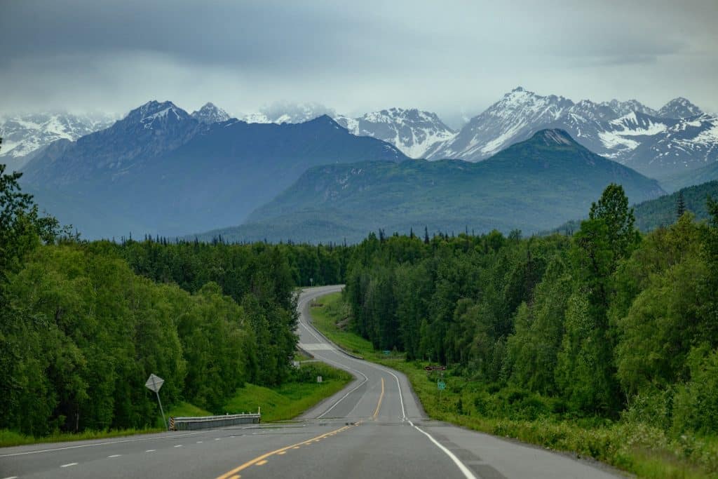 Tok Alaska weg door bos met bergen
