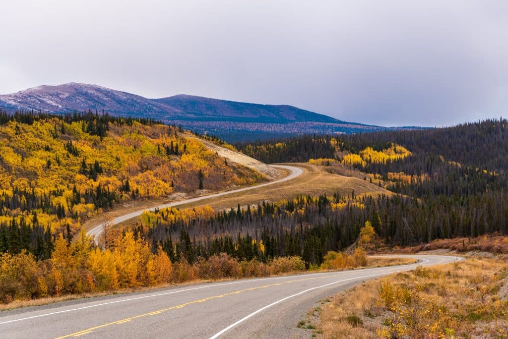 Weg door herfstlandschap in Alaska