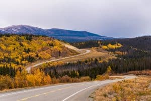 Weg door herfstlandschap in Alaska