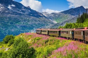 Trein door berglandschap in Alaska