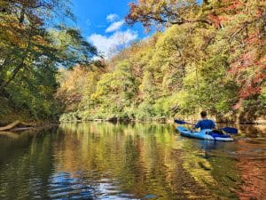 Kajakker op rustige rivier tussen herfstbos in Alabama