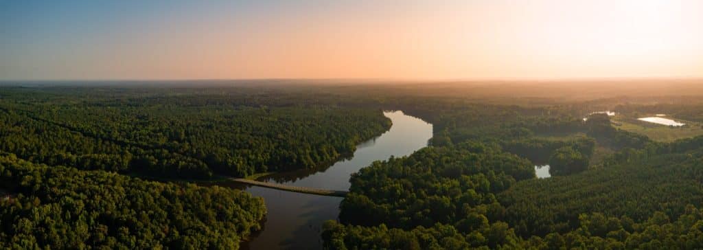 Luchtfoto van rivier door uitgestrekt bos in Alabama