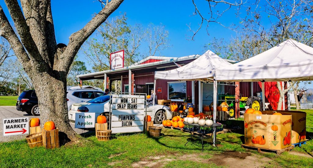 Boerenmarkt met pompoenen in Fairhope Alabama