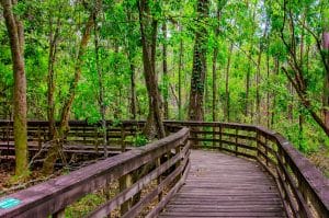Houten boardwalk door bos in Fairhope Alabama