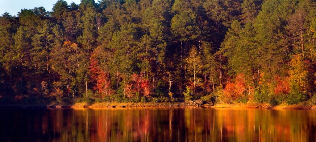 Herfstbos met reflectie in rivier Florence Alabama