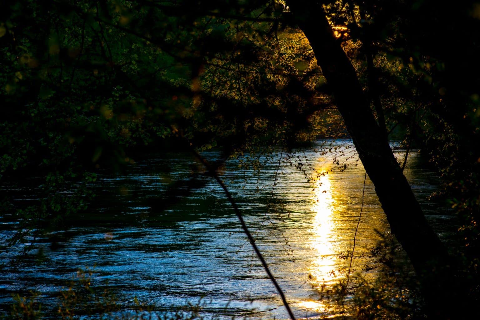 Rivier met zonsondergang reflectie in Florence Alabama