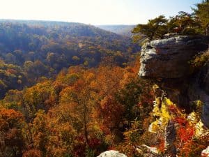 Uitzicht over bosrijke vallei bij Little River Canyon in Alabama