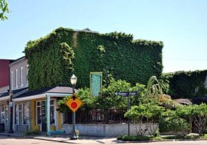 hoekpand begroeid met planten Mobile Alabama