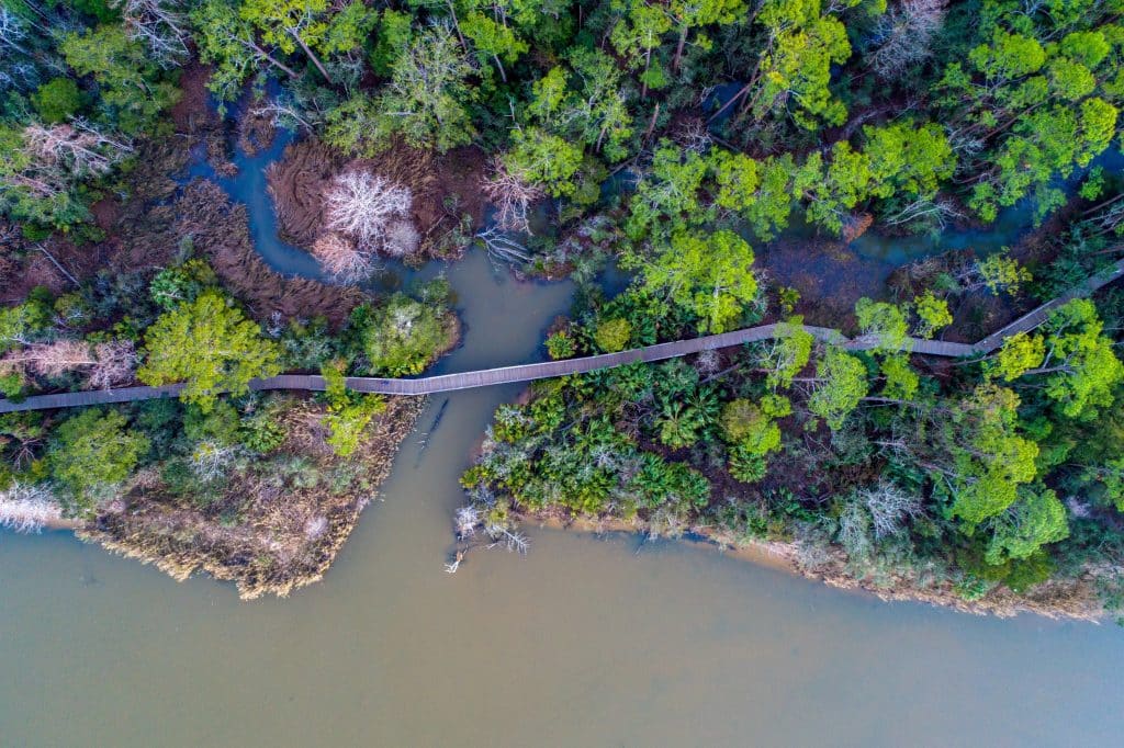 luchtfoto van rivier en natuurgebied Mobile Alabama