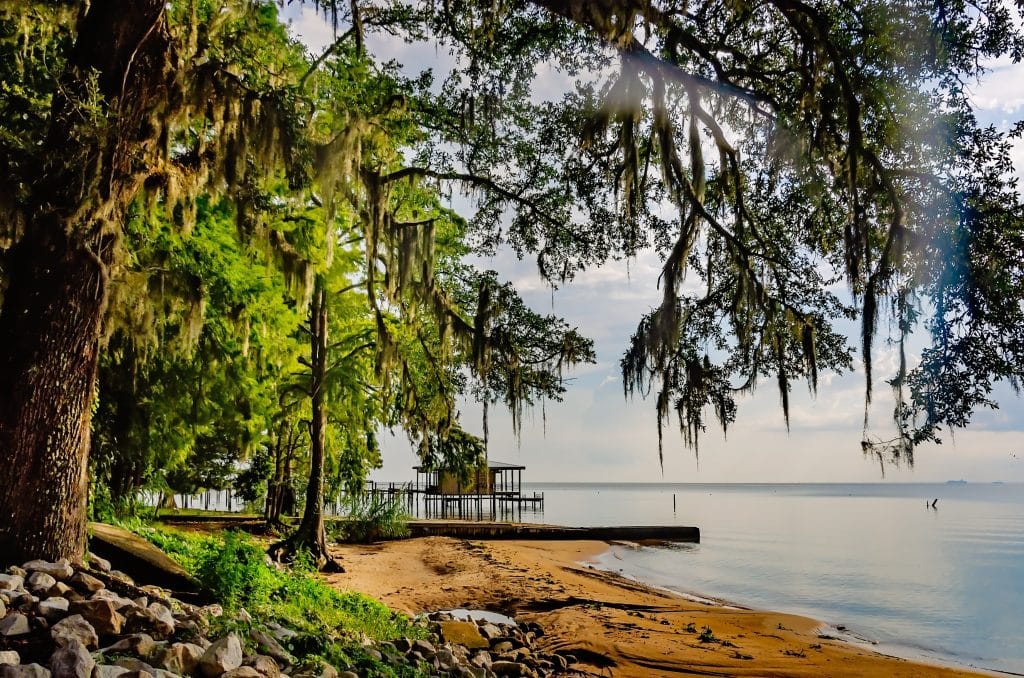 strand met bomen en pier Mobile Alabama